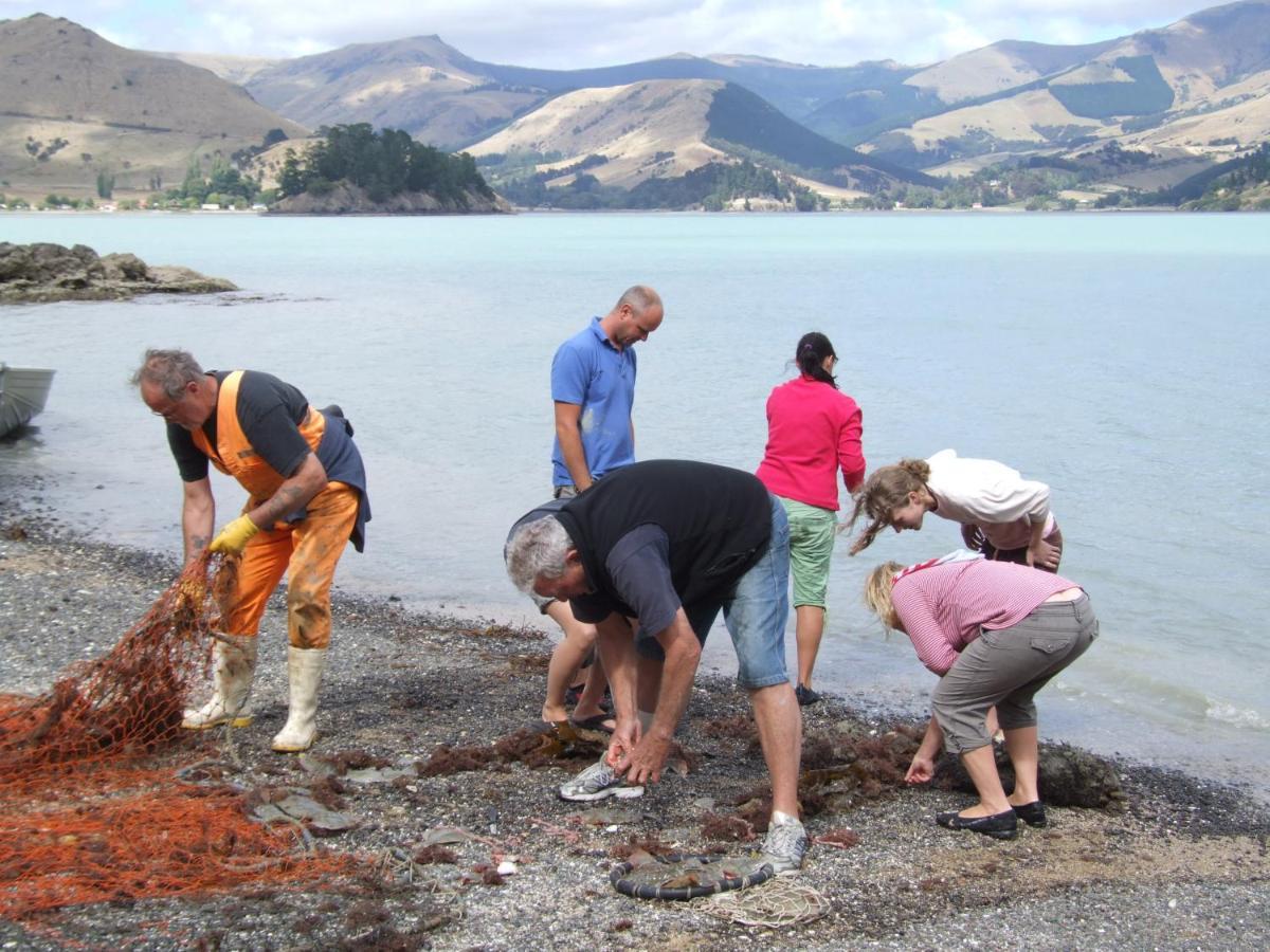 Port Levy B & B Christchurch Экстерьер фото