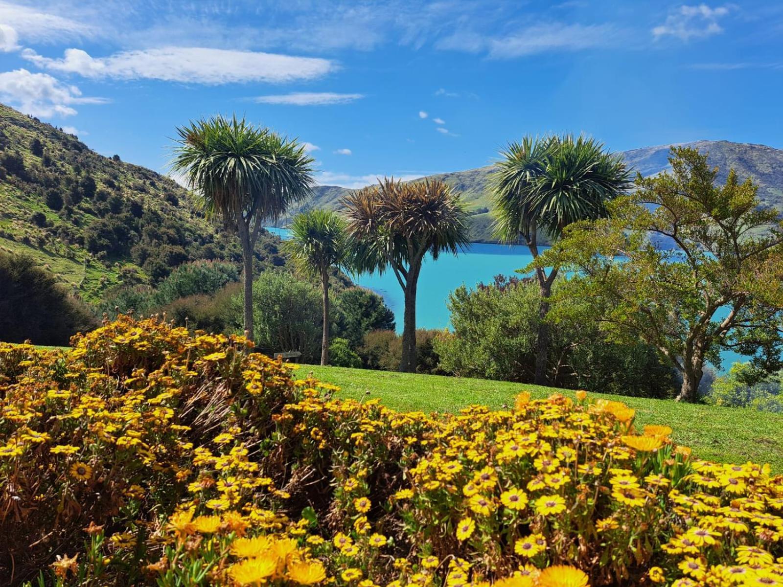 Port Levy B & B Christchurch Экстерьер фото